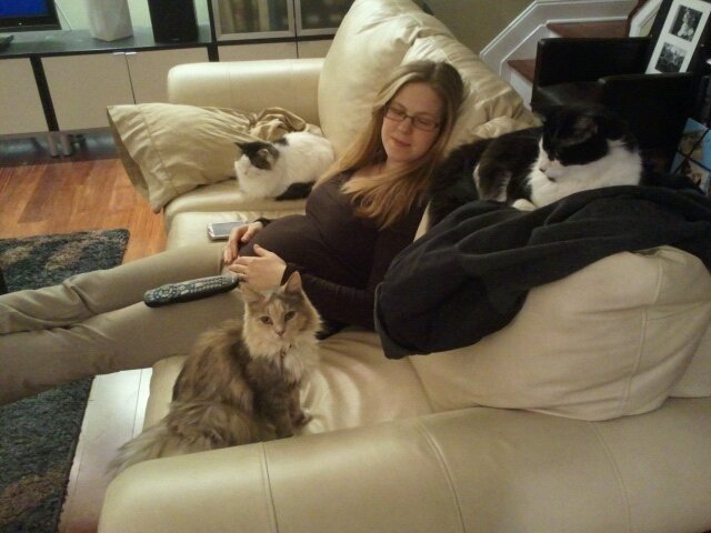 sandra-and-cats.jpg