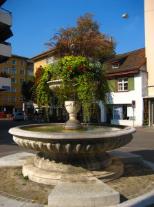 IMG_3590