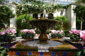 Fountain in the Temperate House