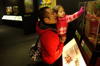 Checking out some huge insects in the insectarium