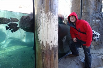 Up close with a hippo